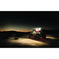 Rigid 1x2 65DEG DC SCENE LIGHT WHITE